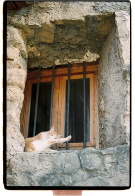 Frame 2