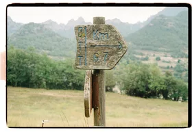 Frame 15