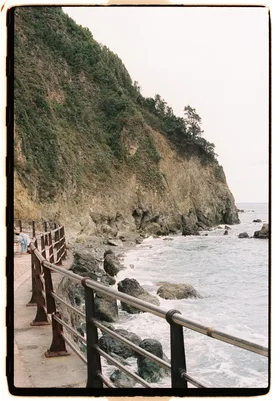 Frame 14