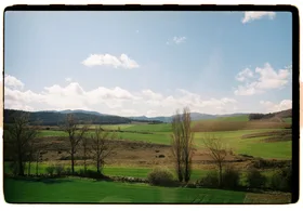 Frame 6