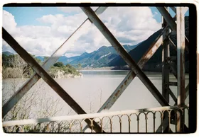 Frame 37