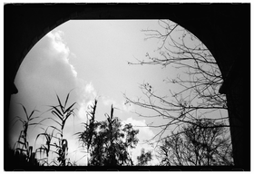 Frame 7