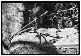 Frame 32