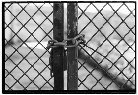 Frame 35