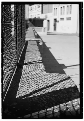 Frame 36