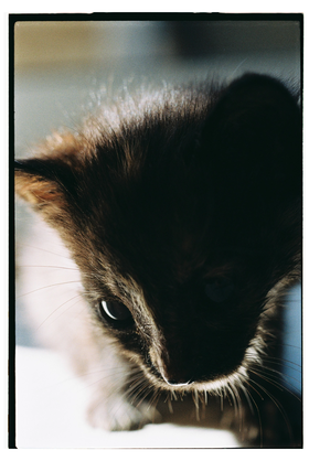 Frame 23