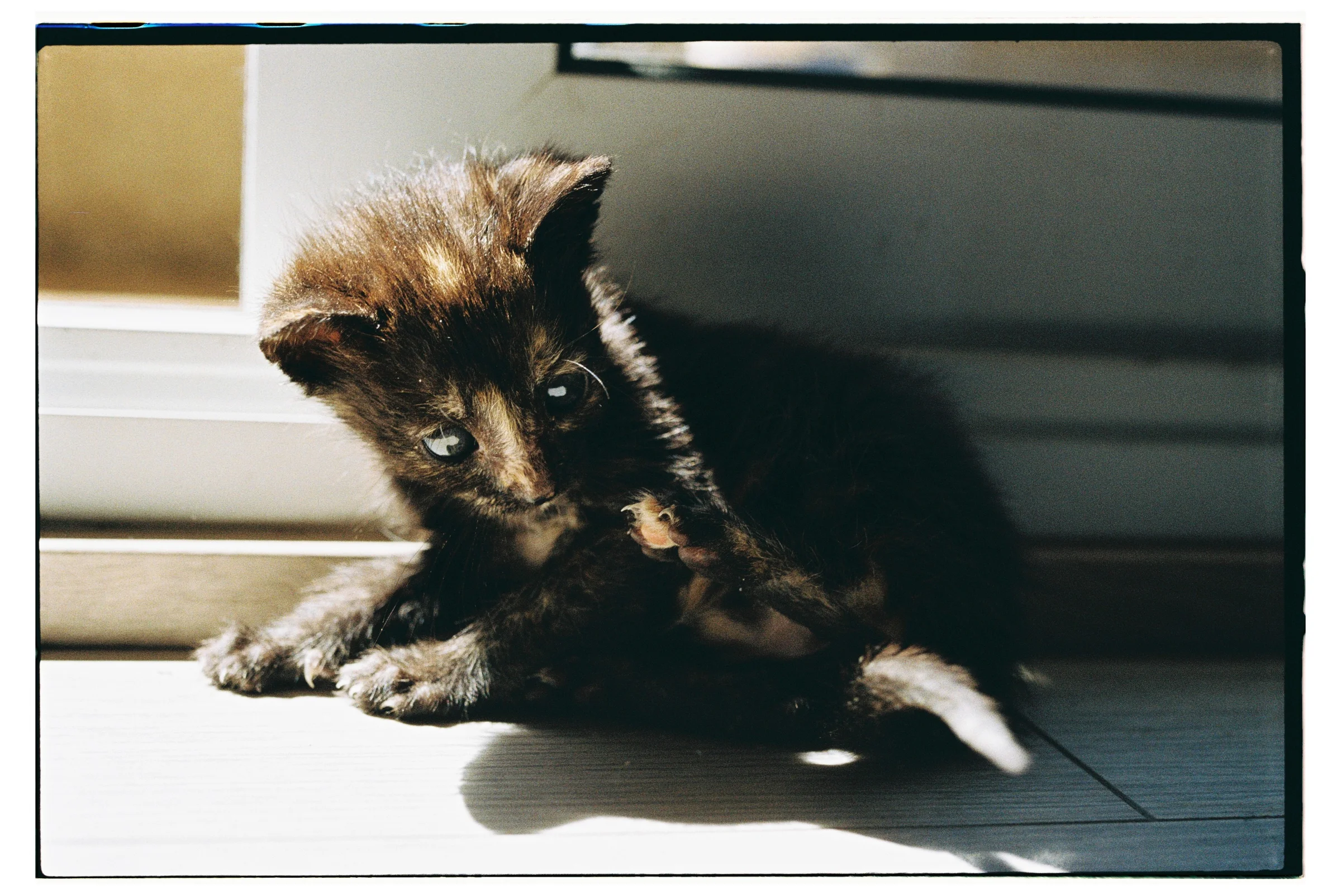 Roll Dump 13 — frame 26