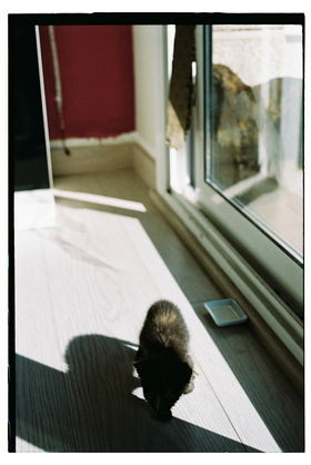 Frame 35