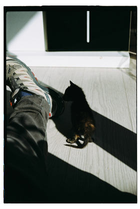 Frame 36