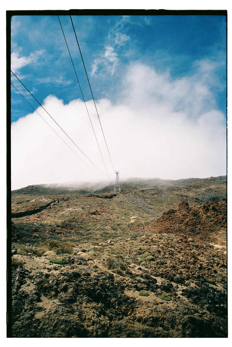 Roll Dump 14 — Olympus OM-10 · Kodak Portra 400