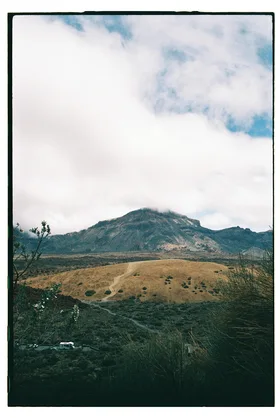 Frame 8