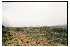 Frame 21