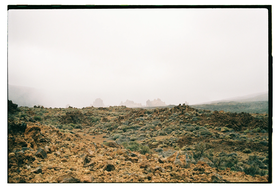Frame 21