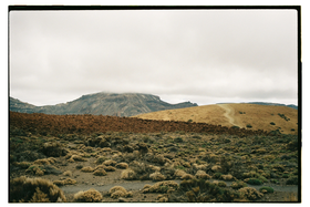 Frame 22
