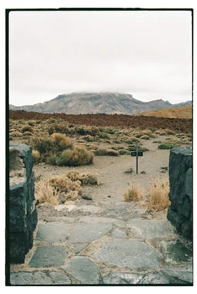 Frame 23