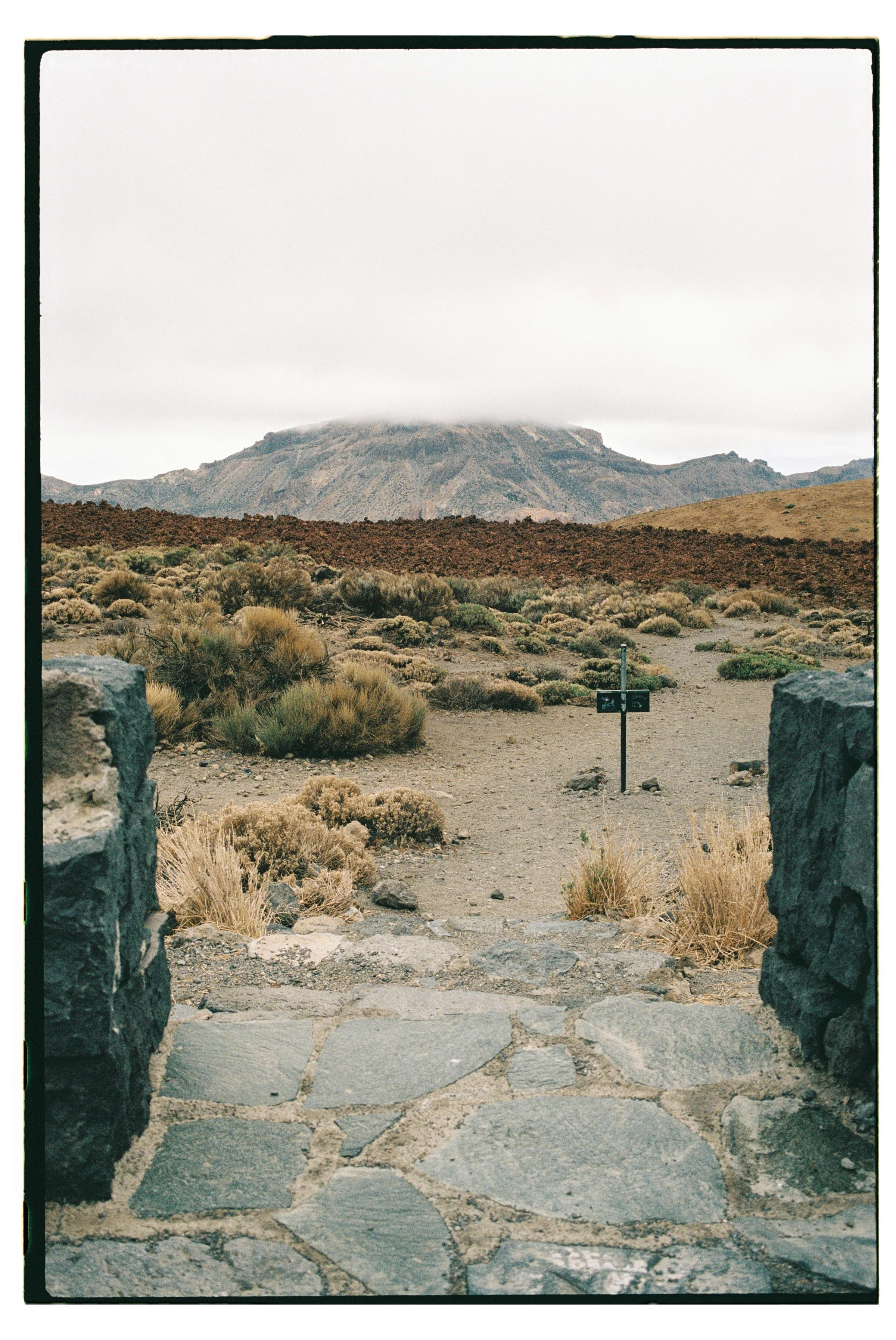 Roll Dump 14 — frame 23