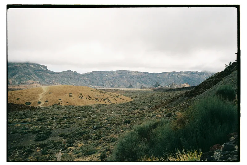 Roll Dump 14 — frame 24
