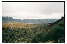 Frame 24