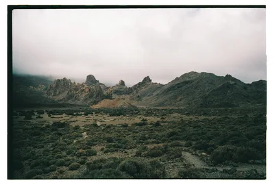 Roll Dump 14 — Kodak Portra 400
