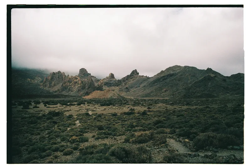 Roll Dump 14 — frame 26