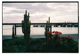 Frame 34