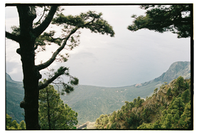 Frame 21