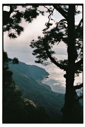 Frame 22