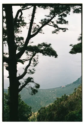 Frame 23