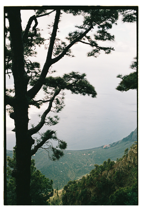 Frame 23