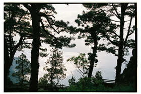 Frame 24