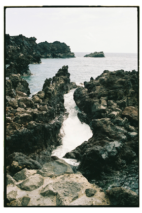 Frame 31
