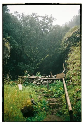 Frame 36