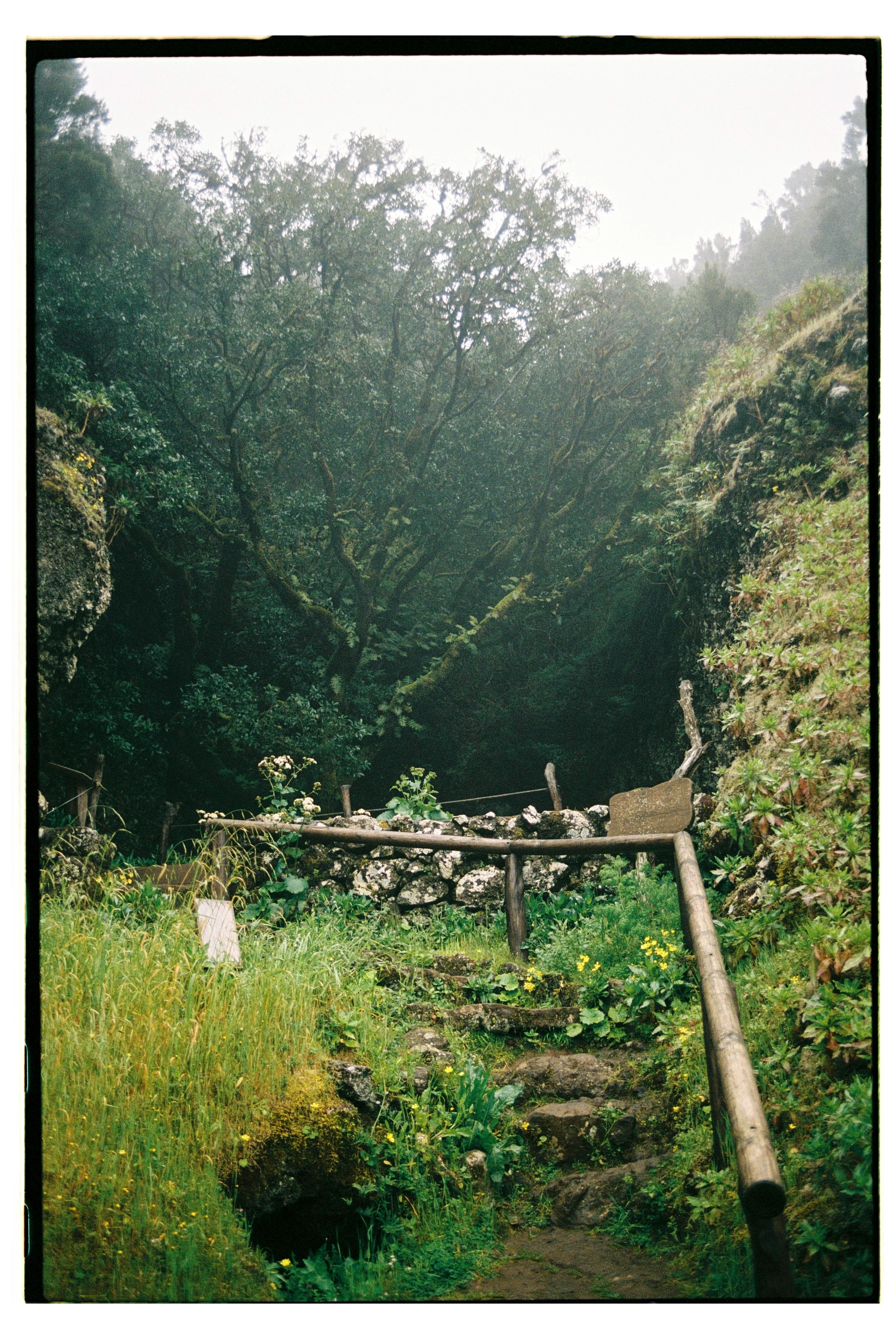 Roll Dump 16 — frame 36