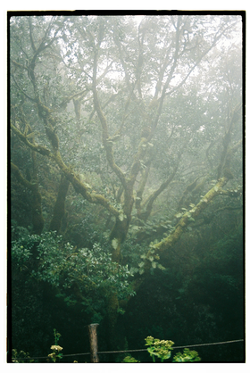 Frame 37