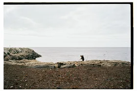 Frame 6