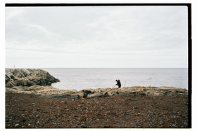Frame 6