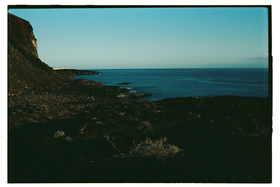 Frame 24