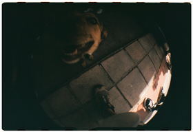 Frame 11