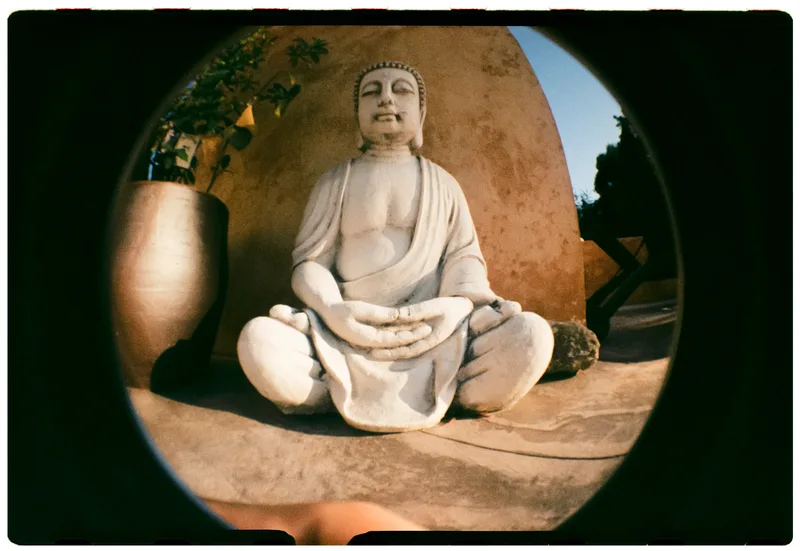 Roll Dump 19 — Lomography Fisheye No. 2 · Kodak Gold 200 (35mm)