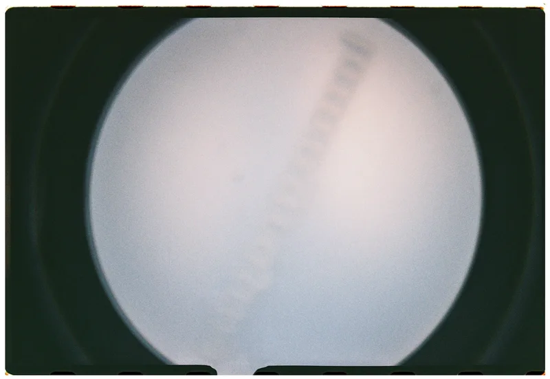 Roll Dump 19 — frame 8