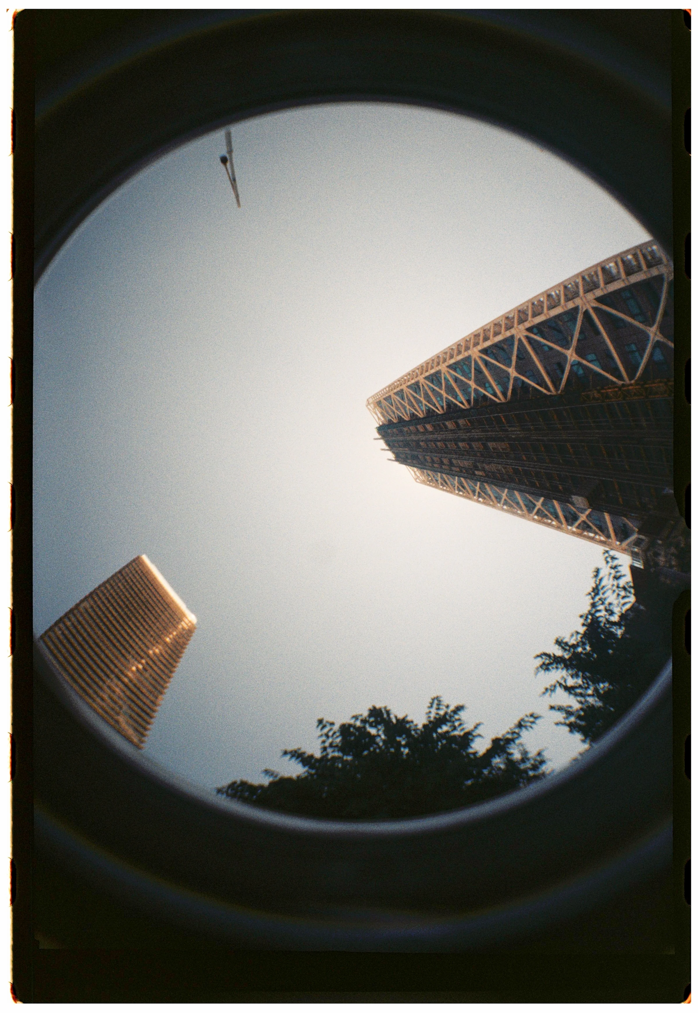 Frame 13