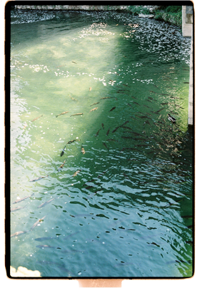 Frame 23