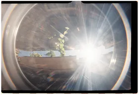 Frame 23