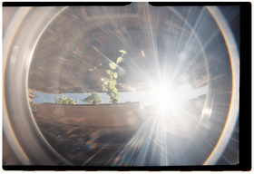 Frame 23