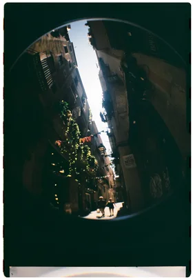 Frame 24