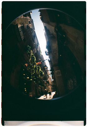 Frame 24