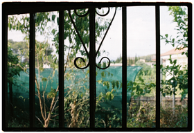 Frame 21