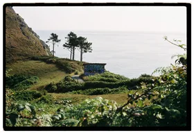 Frame 2