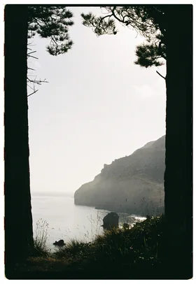 Frame 5