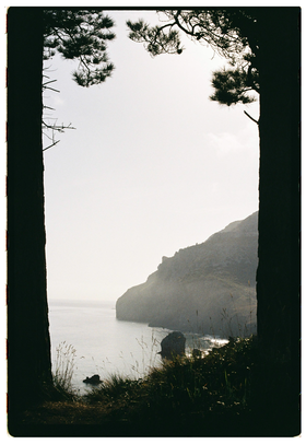 Frame 5
